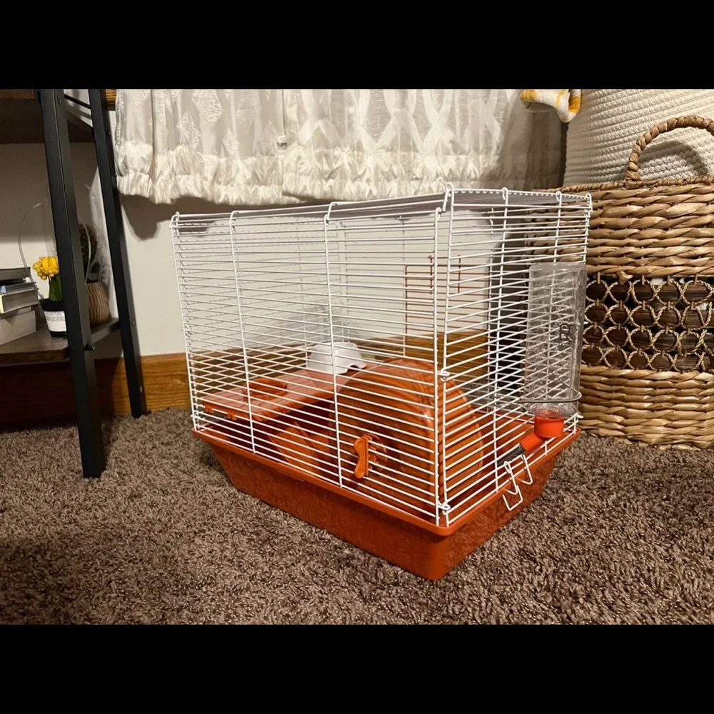 Miss Hollow Hamster Cage